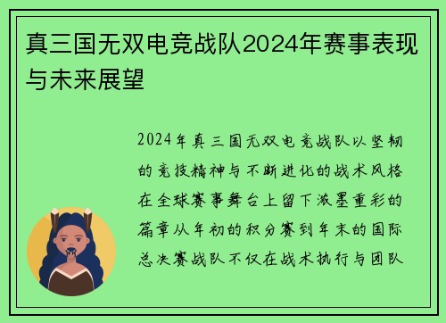 真三国无双电竞战队2024年赛事表现与未来展望